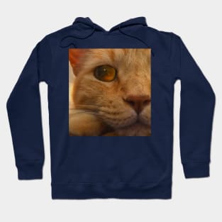 Orange Tabby Cat Eye Hoodie